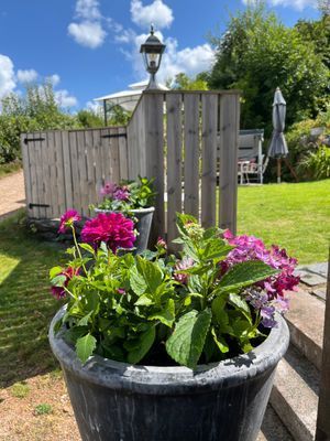 Villa vid havet  150 m2  6 personer - Bild 21