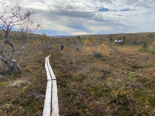 Vandring på fjället i Fulufjällets Nationalpark