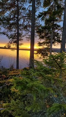 Tomtes Hem - Bild 18