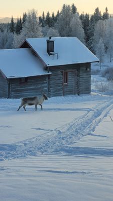 Tomtes Hem - Bild 16