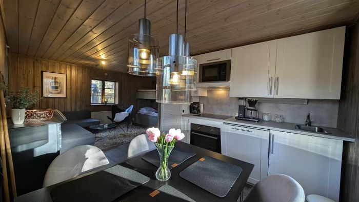 Mysig fjällstuga i Hundfjället