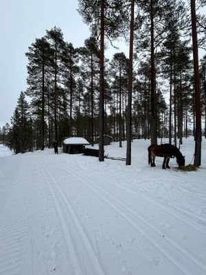 Vasaloppsgården med egen hockeyrink - Hela boendet - Bild 10