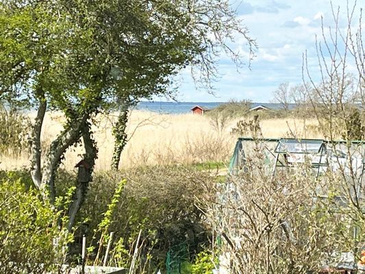 Bild 3 på Stuga i Färjestaden med närhet till hav I SE04031