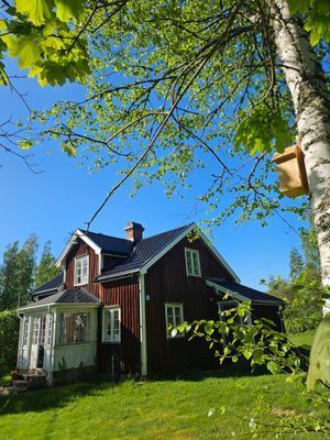 Charmig sommarstuga - Bild 16