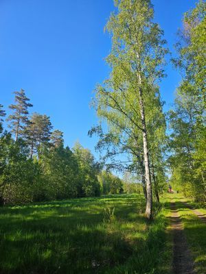 Charmig sommarstuga - Bild 17