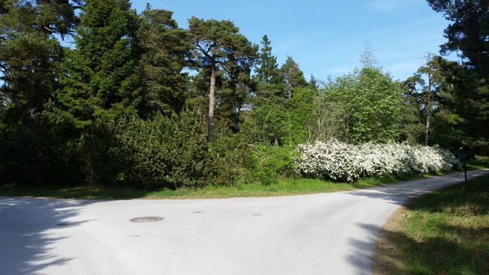 Själsö Mysig stuga - Bild 24