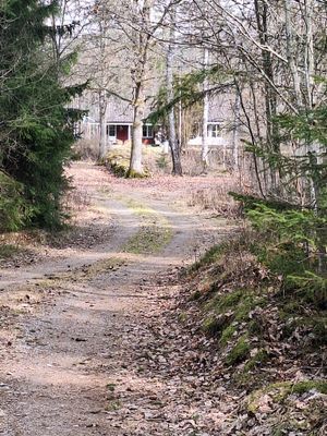 Bolyckan; småländsk avskildhet när den är som bäst