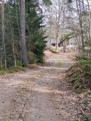 Bolyckan; småländsk avskildhet när den är som bäst - Bild 23