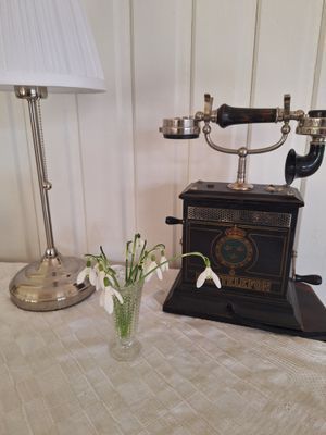 Bolyckan; småländsk avskildhet när den är som bäst - Bild 7