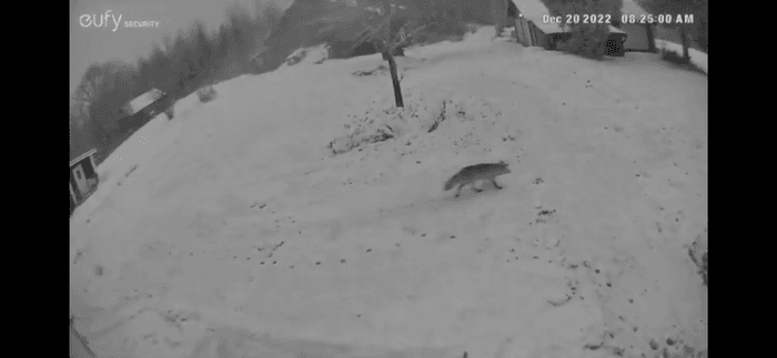 Vällentorpet (Lilla Söderlund) - 50 m från sjön - Bild 35