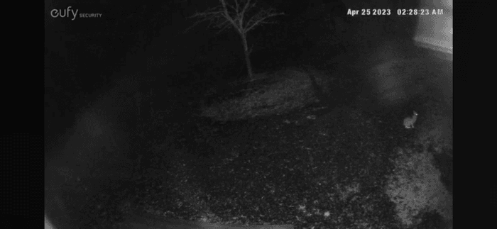 Vällentorpet (Lilla Söderlund) - 50 m från sjön - Bild 37