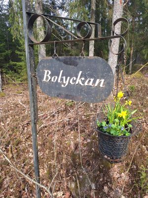 Bild 3 på Bolyckan; småländsk avskildhet när den är som bäst