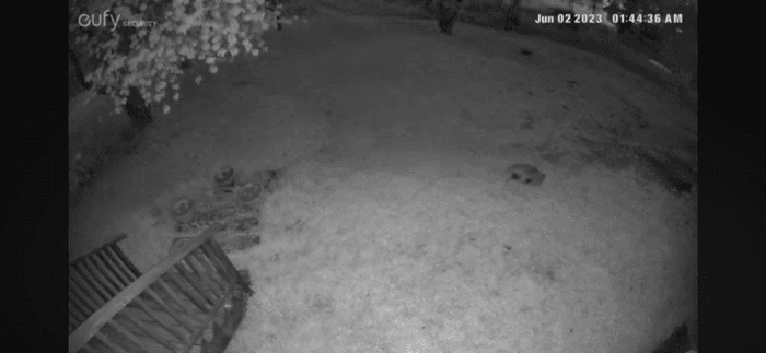 Vällentorpet (Lilla Söderlund) - 50 m från sjön - Bild 34