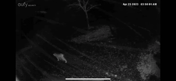 Vällentorpet (Lilla Söderlund) - 50 m från sjön - Bild 38