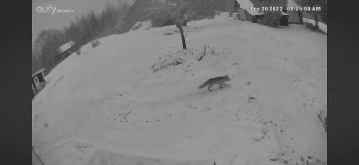 Vällentorpet (Lilla Söderlund) - 50 m från sjön - Bild 39