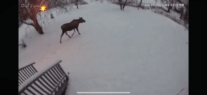 Vällentorpet (Lilla Söderlund) - 50 m från sjön - Bild 40