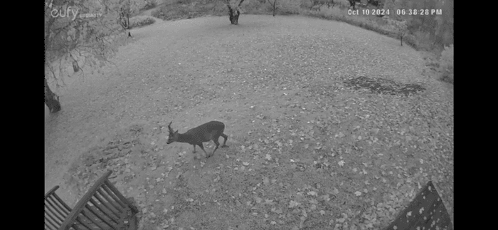 Vällentorpet (Lilla Söderlund) - 50 m från sjön - Bild 41