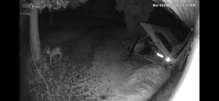 Vällentorpet (Lilla Söderlund) - 50 m från sjön - Bild 42