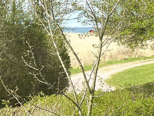 Stuga i Färjestaden med närhet till hav I SE04031 - Bild 17