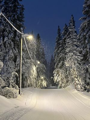 Inspo - Vinter - Björnen Längdspår
