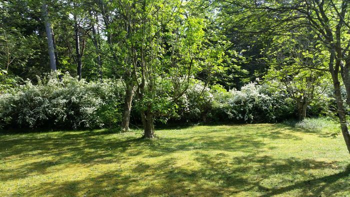 Själsö Mysig stuga - Bild 23