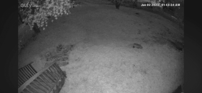 Vällentorpet (Lilla Söderlund) - 50 m från sjön - Bild 43