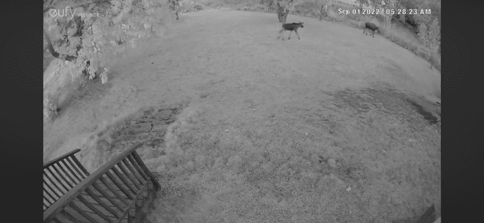 Vällentorpet (Lilla Söderlund) - 50 m från sjön - Bild 44