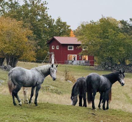 Bo på idyllisk bondgård | Nära sjö med fri båt - Bild 38