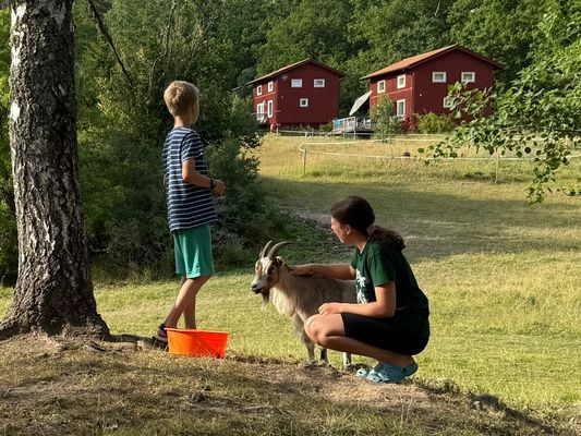 Hyr denna stuga i Valdemarsvik på 94 m². 6 sängplatser. 7 600 - 10 800 kr per vecka. Se bilder och tillgänglighet här.