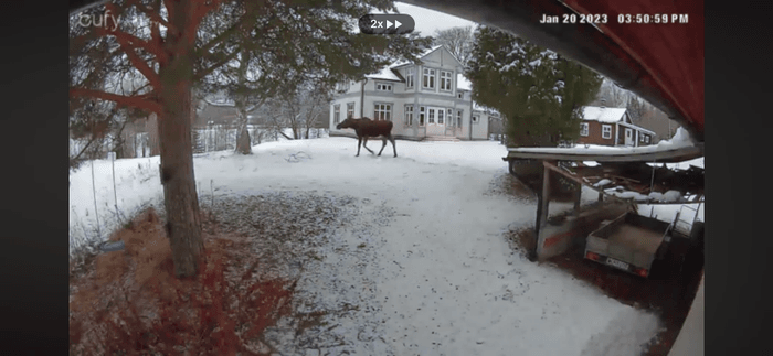 Vällentorpet (Lilla Söderlund) - 50 m från sjön - Bild 48