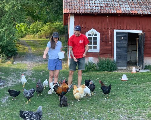 Bo på idyllisk bondgård | Nära sjö med fri båt - Bild 30