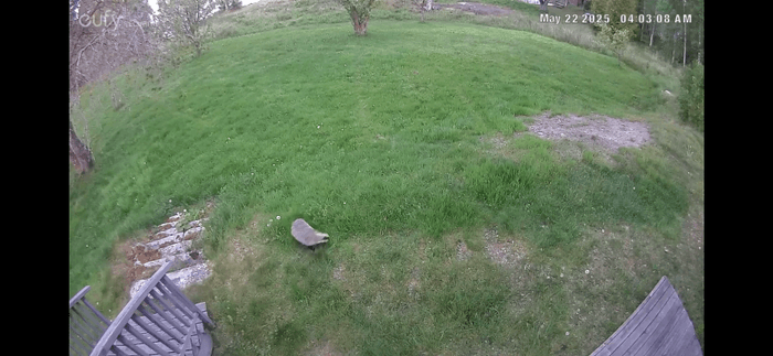 Vällentorpet (Lilla Söderlund) - 50 m från sjön - Bild 50