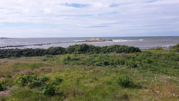 Trivsamt hus med plats för många nära havet - Bild 16