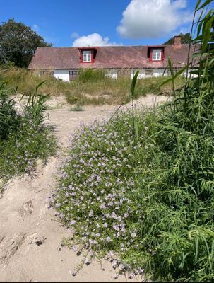 Österlen Norrekås Örnahusen- Huset vid havet - Bild 41