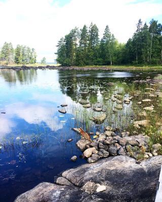 Emmesviken - Sjöstuga med egen vik, bastuflotte. - Bild 22