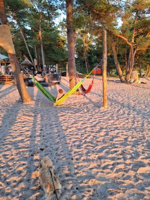 Ny stuga i vackra Sanda nära havet - Bild 27