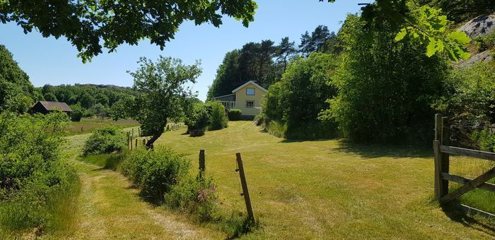 Valön i Stigfjorden, Nösund, Orust
