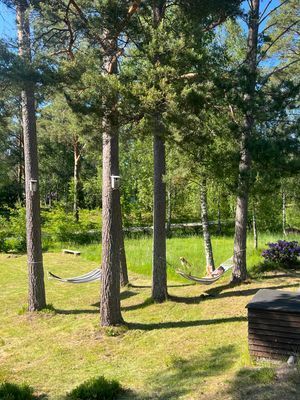 Hundvänligt boende i norra skärgården - Bild 22