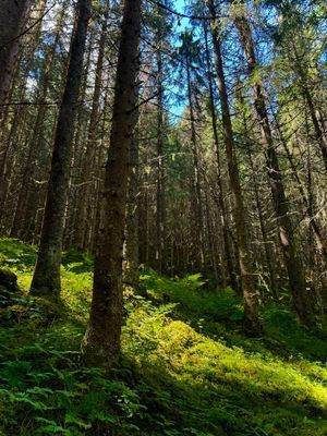 Modern fjällstuga -rofyllt läge med otrolig utsikt - Bild 27