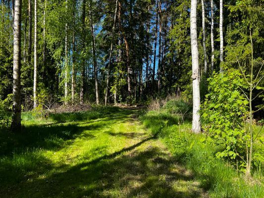 Charmigt hus på landet utanför Töreboda - Bild 56