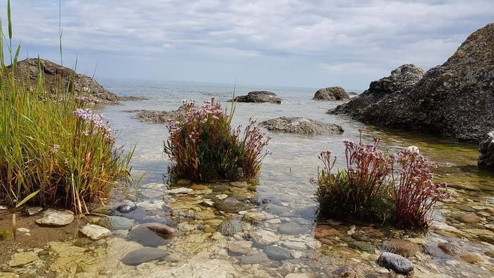 Välkomna att hyra vårt hus i Ljugarn i sommar 🌞 - Bild 47