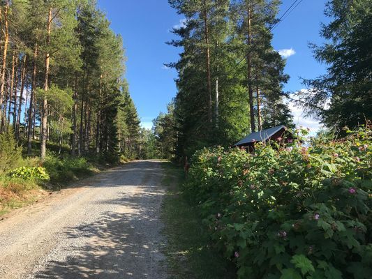 Litet trevligt torp med högt, lugnt & soligt läge - Bild 14