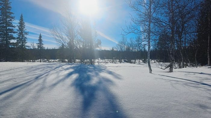 Fjällstuga med fint läge! - Bild 28