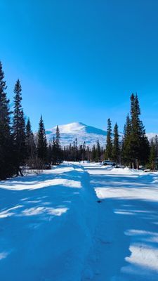 Vägen in mot stugan med Storsnasen i blickfånget