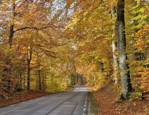 Retreat Kerstins stuga - Bild 13