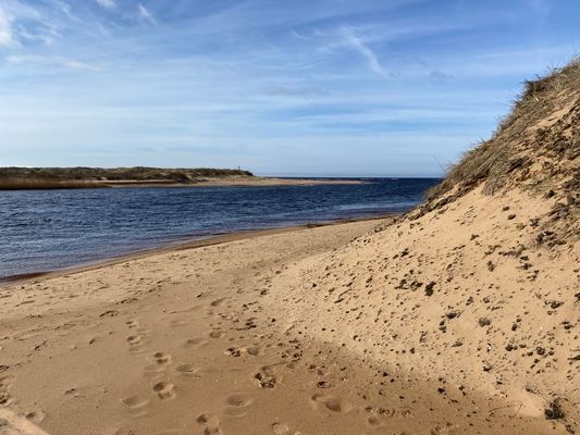 Strandnära stuga i Skummeslövsstrand - Bild 19