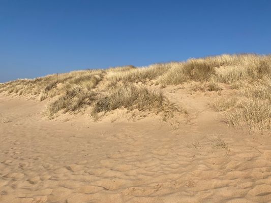 Strandnära stuga i Skummeslövsstrand - Bild 20