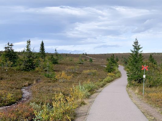 Sommar på Högfjället, prisvärt boende - Bild 20