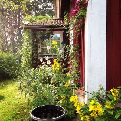 Bild 4 på Torp i Sörmland