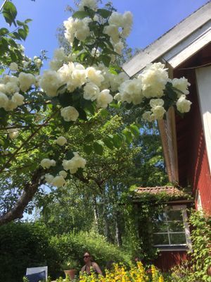 Torp i Sörmland - Bild 32